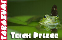   Takazumi Koi - Teichpflege: Bei Takazumi...